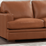 Brighton Top Grain Leather Collection