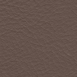 2379 Truffle - Prospera Home