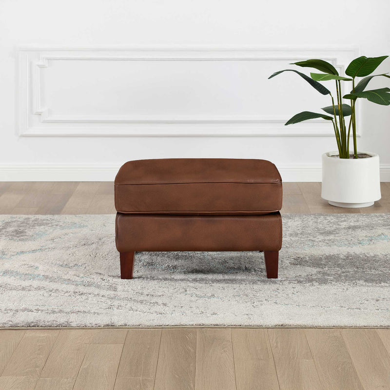 Larsen Top Grain Leather Collection