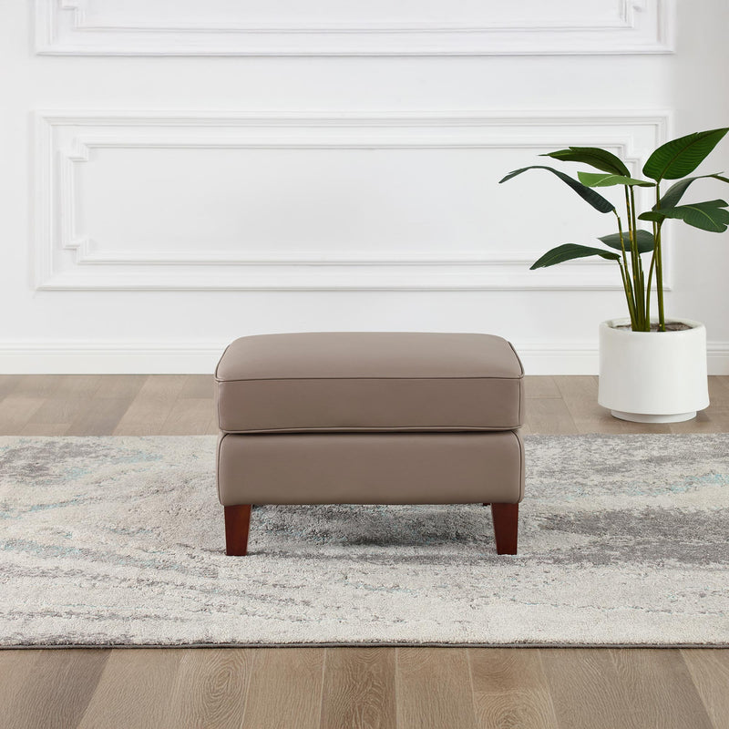 Larsen Top Grain Leather Collection