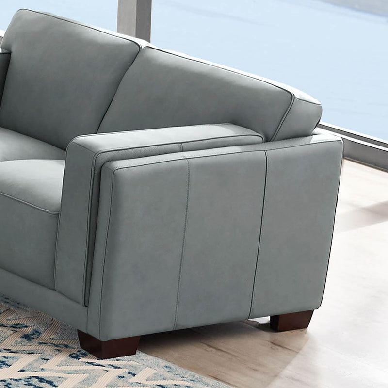 Aruba Top Grain Leather Collection