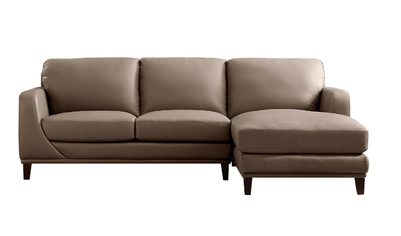 Sonoma Top Grain Leather Sectional