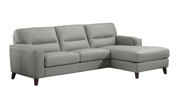 Sorena Top Grain Leather Sectional