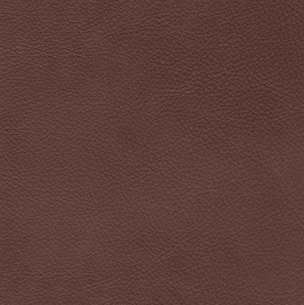 1566A Pecan - Prospera Home