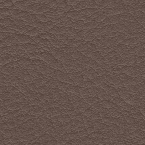 2379 Truffle - Prospera Home