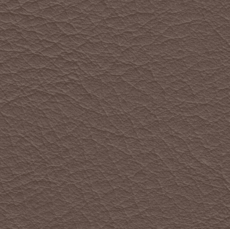 2379 Truffle - Prospera Home