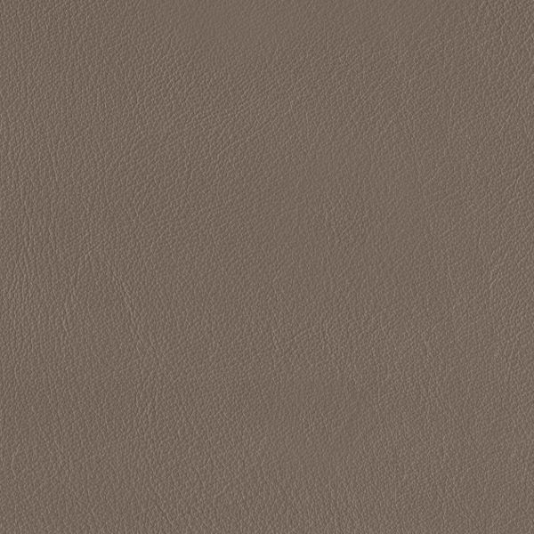 2518 Taupe - Prospera Home
