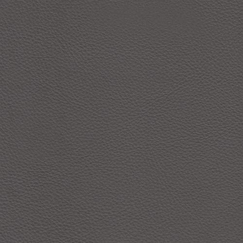 Capprio Top Grain Leather Power Reclining Collection, Gray - Prospera Home