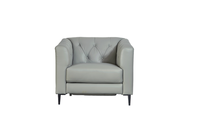 Santa Cruz Power Leather Collection, Silver Gray - Prospera Home