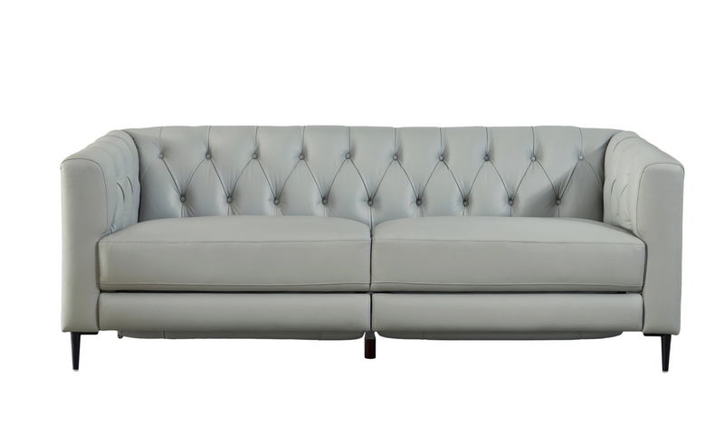 Santa Cruz Power Leather Collection, Silver Gray - Prospera Home